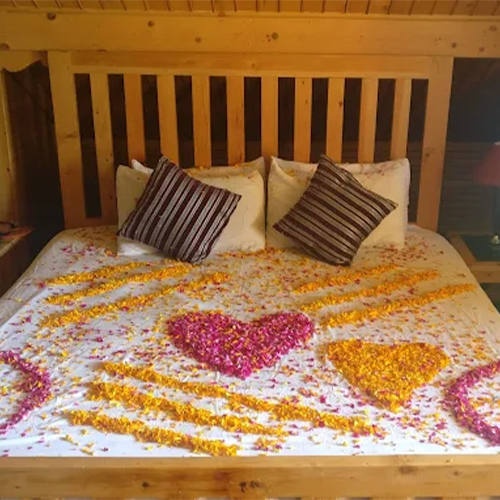 Glacier View Room in Manali